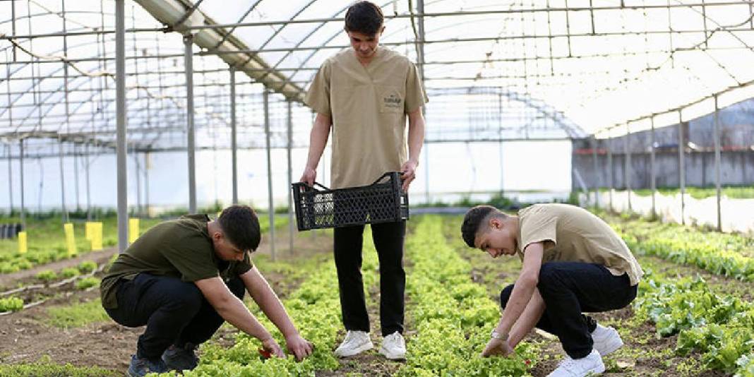 135 yıllık lisede ‘Tarladan tabağa’ konsepti: 1500 misafir hedefleniyor 3